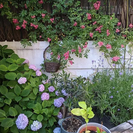 度假居 Havre De Paix A 200 M De Paris